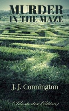 Murder in the Maze (eBook, ePUB) - Connington, J. J.