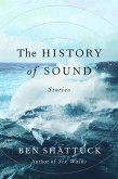 The History of Sound (eBook, ePUB)