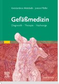 Gefäßmedizin (eBook, ePUB)