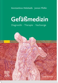 Gefäßmedizin (eBook, ePUB) - Meletiadis, Konstantinos; Pfeifer, Jomon