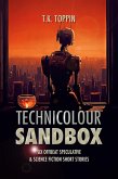 Technicolour Sandbox (eBook, ePUB)