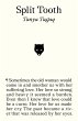 Split Tooth (eBook, ePUB) - Bild 1