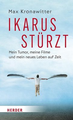 Ikarus stürzt - Kronawitter, Max