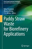 Paddy Straw Waste for Biorefinery Applications