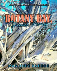 Cover Botany Bay, Dream Away
