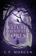 The Witch of Eisenwald Forest - Bild 1