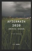 Aftermath 2020: America Shaken