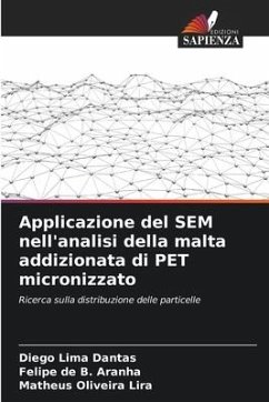 Applicazione del SEM nell'analisi della malta addizionata di PET micronizzato - Lima Dantas, Diego;de B. Aranha, Felipe;Oliveira Lira, Matheus