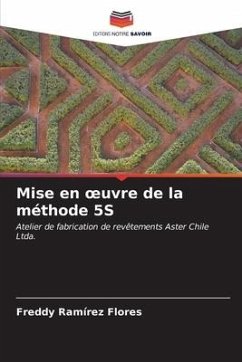 Mise en ¿uvre de la méthode 5S - Ramírez Flores, Freddy