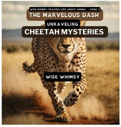 The Marvelous Dash - Whimsy, Wise