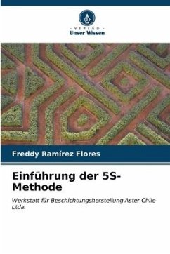 Einführung der 5S-Methode - Ramírez Flores, Freddy