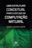 Uma Estrutura Conceitual para o Estudo da Computação Natural (eBook, ePUB)