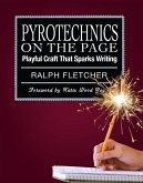 Pyrotechnics on the Page (eBook, ePUB)