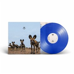 Fever (Ltd. Transparent Blue Col. Lp) - Balthazar