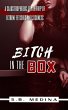 Bitch in the Box (eBook, ePUB) - Bild 1