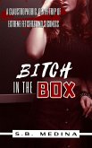 Bitch in the Box (eBook, ePUB)
