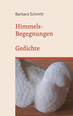 Himmels-Begegnungen (eBook, ePUB)