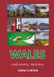 Wales (eBook, ePUB) - Bild 1
