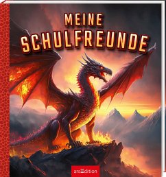 Cover Meine Schulfreunde - Drachen