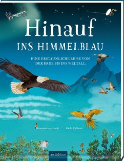 Hinauf ins Himmelblau - Accinelli, Gianumberto