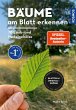 Bäume am Blatt erkennen - 78 Laub- und... - Bild 1