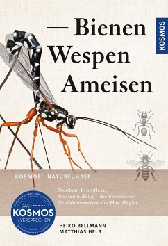 Bienen, Wespen, Ameisen - Bellmann, Heiko;Helb, Matthias
