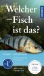Welcher Fisch ist das? - Bild 1