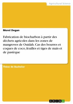 Fabrication de biocharbon à partir des déchets agricoles dans les zones de mangroves de Ouidah. Cas des bourres et coques de coco, feuilles et tiges de maïs et de pastèque