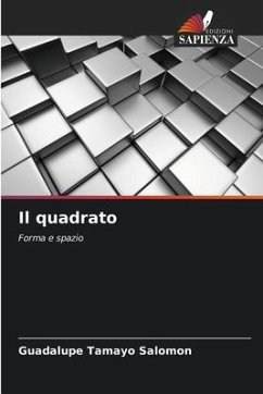 Il quadrato - Tamayo Salomon, Guadalupe