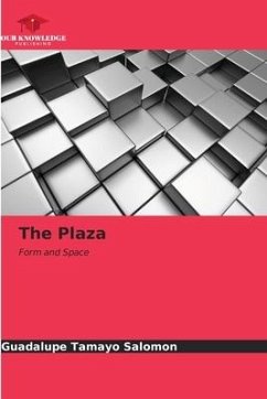 The Plaza - Tamayo Salomon, Guadalupe