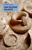 Una sezione volante (eBook, ePUB)