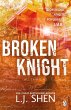 Broken Knight (eBook, ePUB) - Bild 1