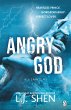 Angry God (eBook, ePUB) - Bild 1