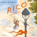 Rico und die Tuchlaterne / Rico Bd.1 (MP3-Download)