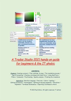 A Trados Studio 2021 hands-on guide for beginners & the IT-phobic (eBook, ePUB) - Dihinx, Paul