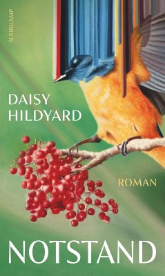 Notstand (eBook, ePUB) - Hildyard, Daisy