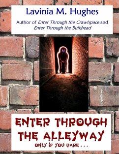 Enter Through the Alleyway (eBook, ePUB) - Hughes, Lavinia M.