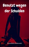 Benutzt wegen der Schulden (eBook, ePUB)