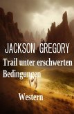 Trail unter erschwerten Bedingungen: Western (eBook, ePUB)