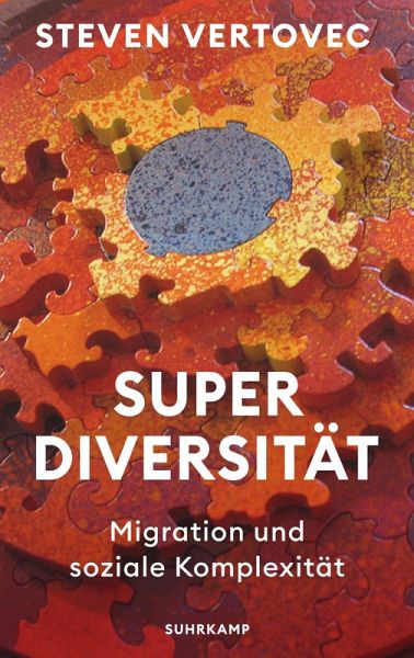 Superdiversität (eBook, ePUB)