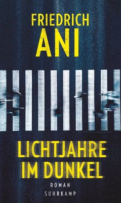 Lichtjahre im Dunkel (eBook, ePUB) - Ani, Friedrich