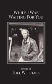 While I Was Waiting for You (eBook, ePUB)