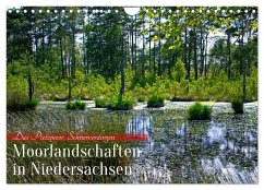 Niedersachsens Moorlandschaften - Das Pietzmoor, Schneverdingen (Wandkalender 2024 DIN A4 quer), CALVENDO Monatskalender