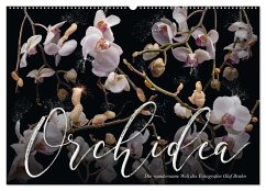 Orchidea (Wandkalender 2024 DIN A2 quer), CALVENDO Monatskalender