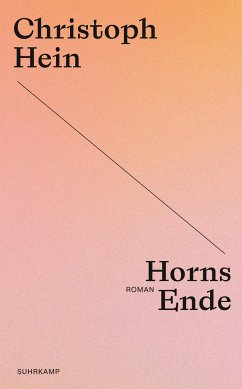 Horns Ende - Hein, Christoph
