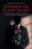 Hidden In Plain Sight (eBook, ePUB)