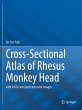 Cross-Sectional Atlas of Rhesus Monkey... - Bild 1