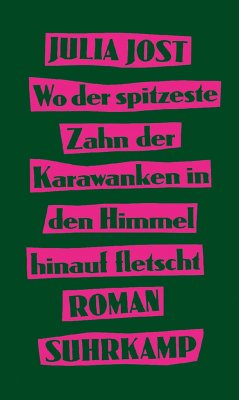 Wo der spitzeste Zahn der Karawanken in den Himmel hinauf fletscht - Jost, Julia