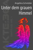 Unter dem grauen Himmel (eBook, ePUB)