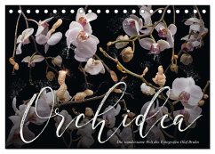 Orchidea (Tischkalender 2024 DIN A5 quer), CALVENDO Monatskalender - Calvendo;Bruhn, Olaf